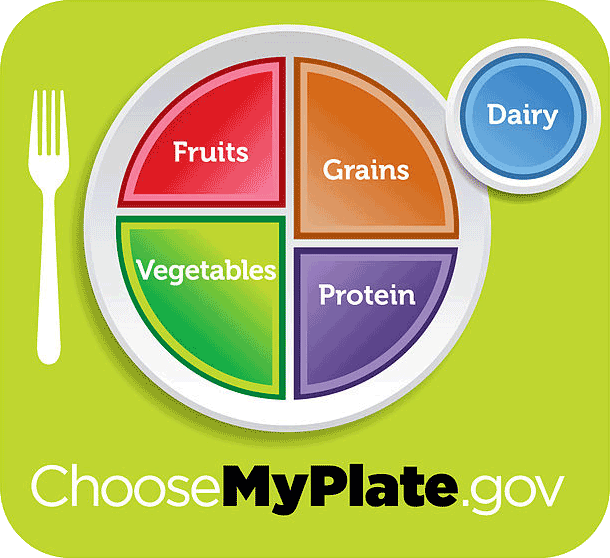 2011 MyPlate USDA dietary recommendations