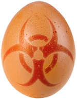 Irradiated egg