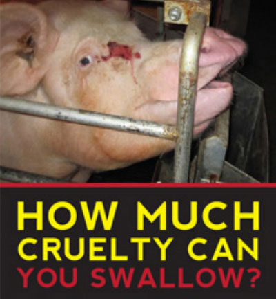 How much cruelty can you swallow?