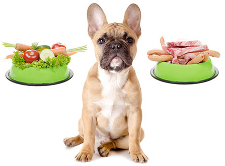 Raw food diet for pets